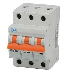 Int. Termomagnetico 6KA 3x25A